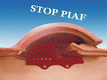 Pose de Stop Piaf Anti oiseau couvreur Royan 17200